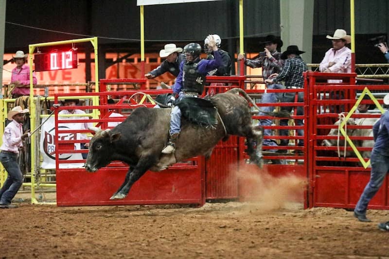 Ocala Shrine Rodeo - Image 2