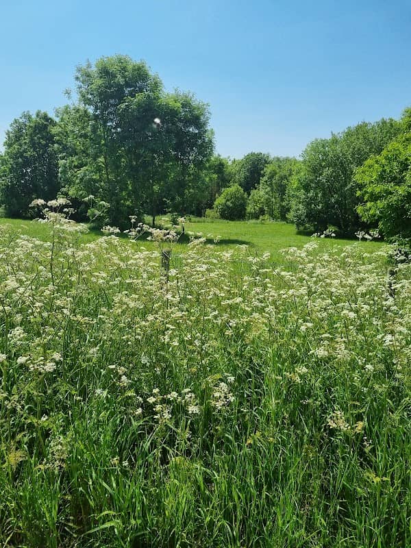 Prestop Park Wood - Image 1