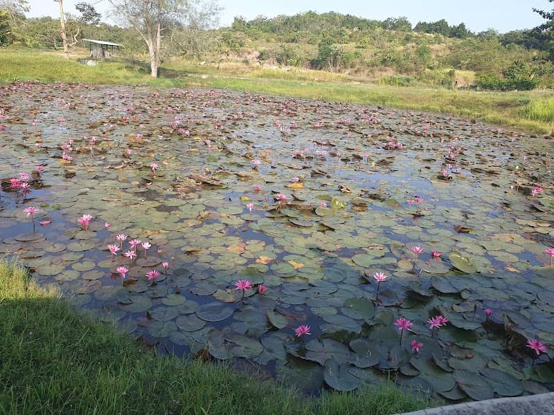 Sunfield Farm - Image 1
