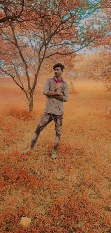 Chaman kuvo - Image 2