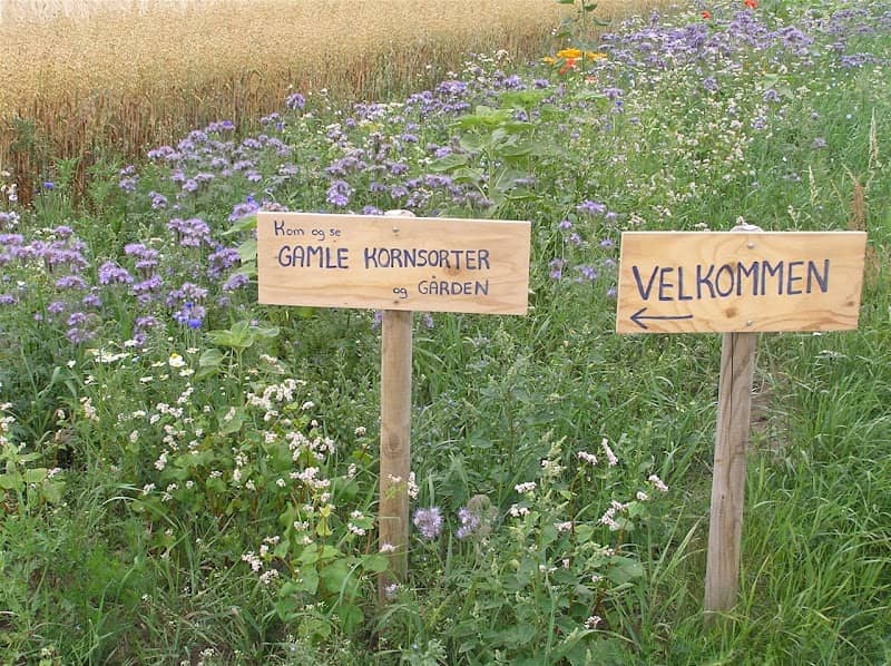 Væksthus Spøttrup - Image 2