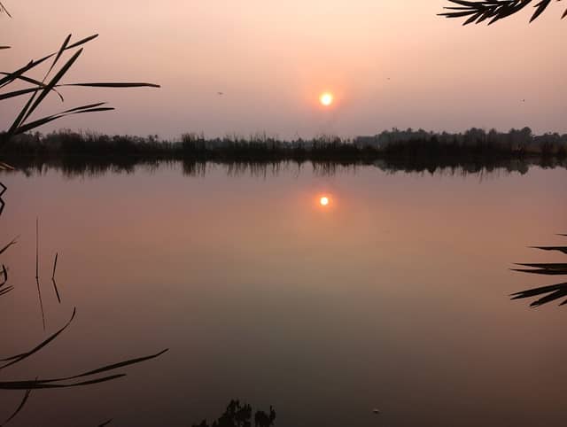 Birding Area - Image 1