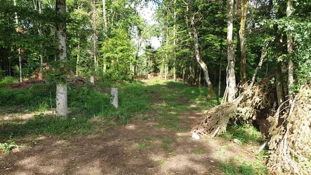 Croix de Cras d Airmont - Image 1