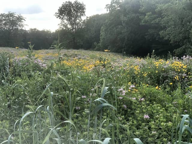 Columbia Audubon Nature Sanctuary - Image 2