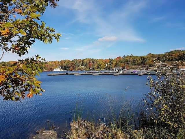 Lookout Park - Image 2