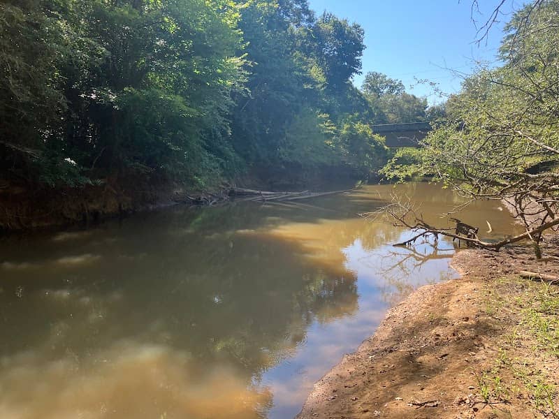 Sipsey River Swamp-South Forever Wild Tract - Image 1