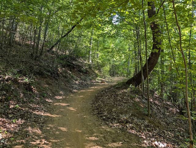 Chestnut Mountain Nature Park - Image 1