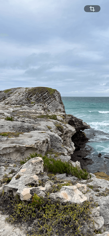 Lover’s Rock - Image 1