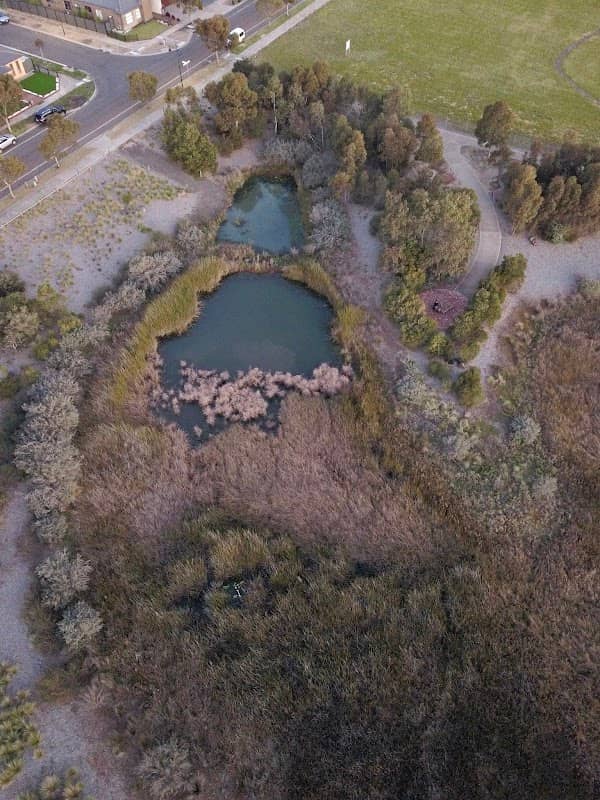 Cottesloe Blvd Wetlands - Image 1
