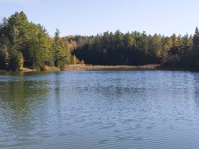 Allan Park Conservation Area - Image 2