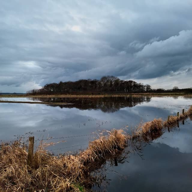 de Vughtse Gement - Image 1