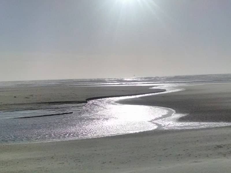 Beach Access Trail - Image 3
