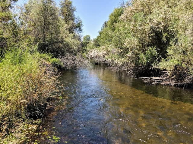 River Of Skulls Trail - Image 2
