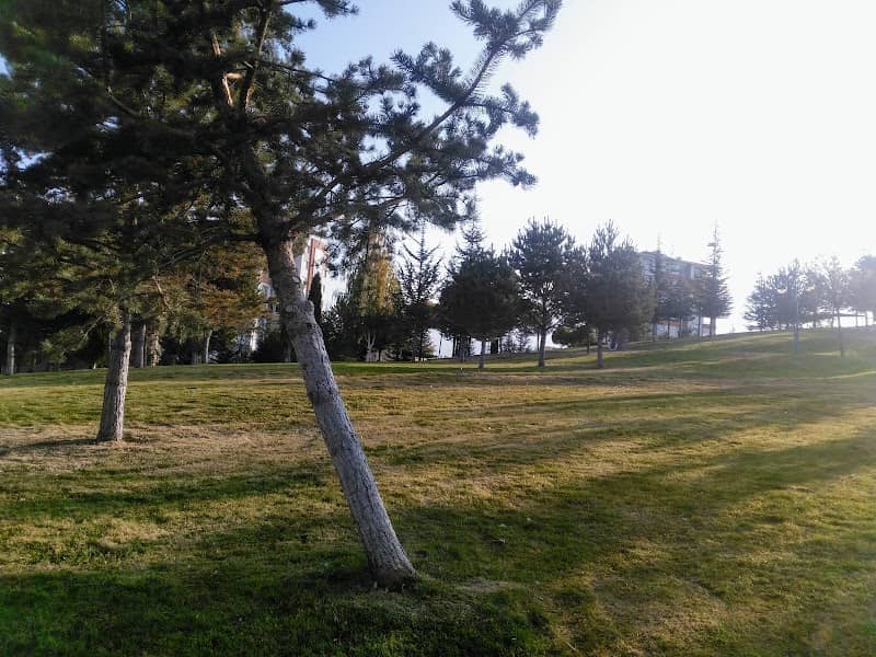 Child park - Image 2