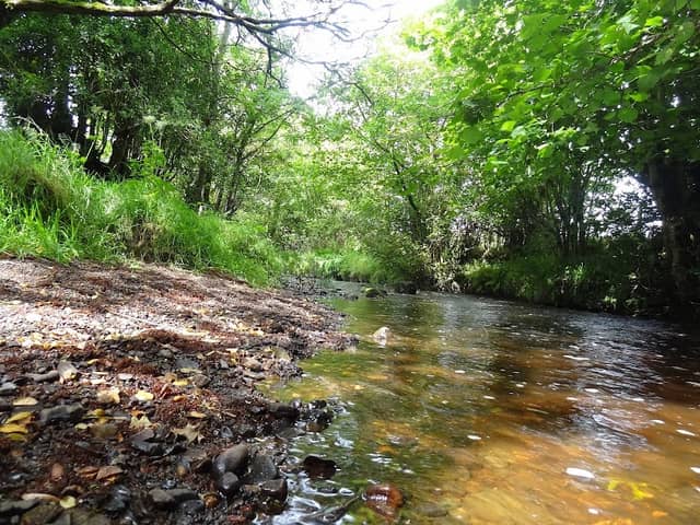Drumnaph Nature Reserve - Image 2