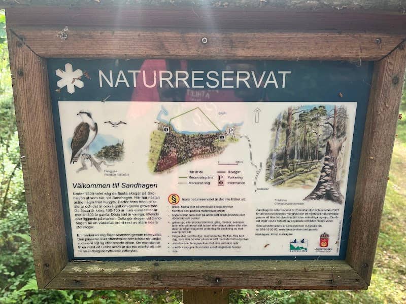 Sandhagens naturreservat - Image 1