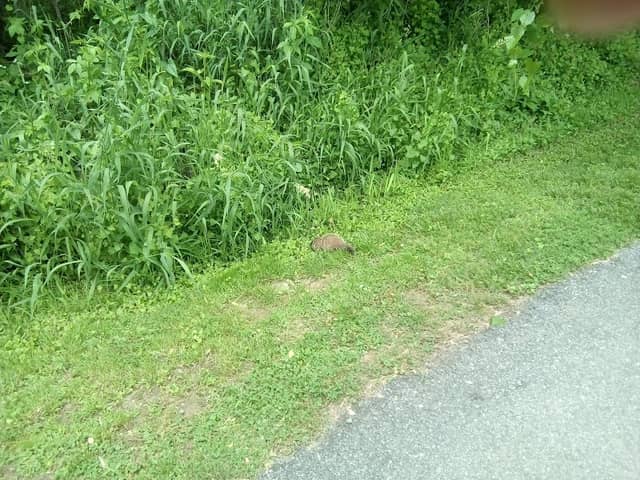 Maryland National Capital Park - Image 1