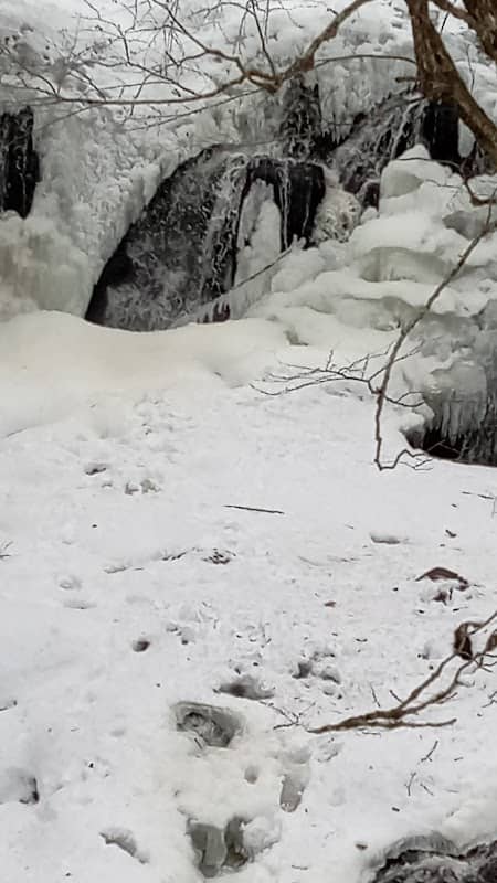 Upper Falls - Image 3