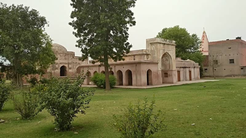 City Garden - Image 2