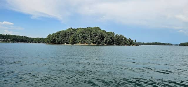 Chico Island - Image 2