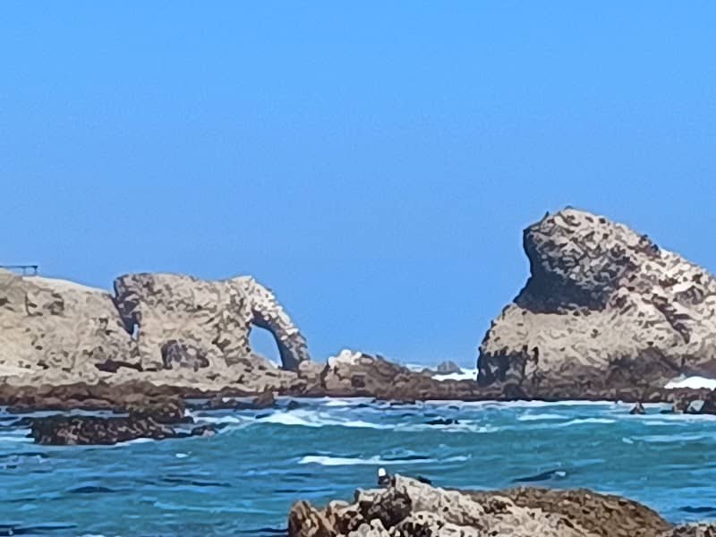 Marcona - Image 2