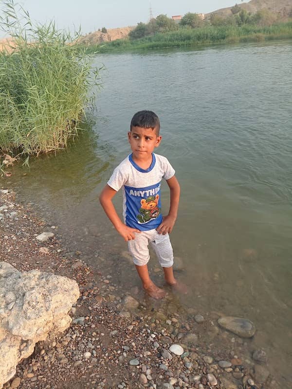 البستنه - Image 1