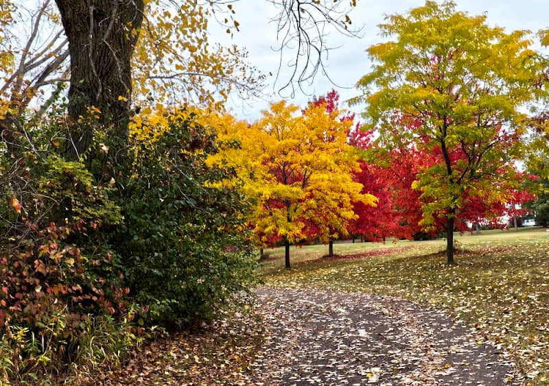 Edgewater Park - Image 1