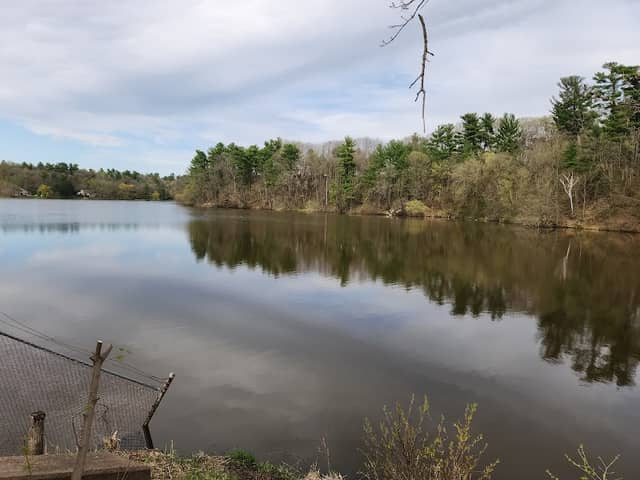 Zielie PARK - Image 3