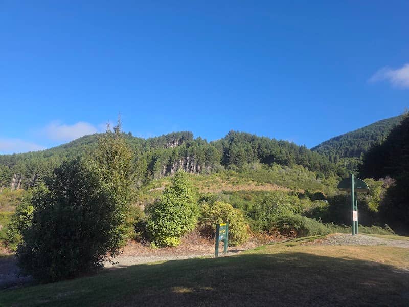 Seven Mile Point Track - Image 2