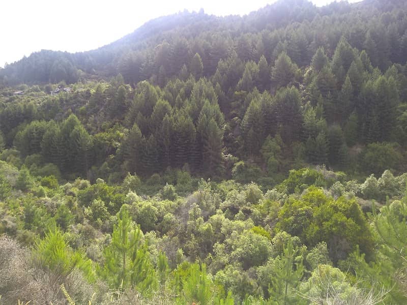 Seven Mile Point Track - Image 3
