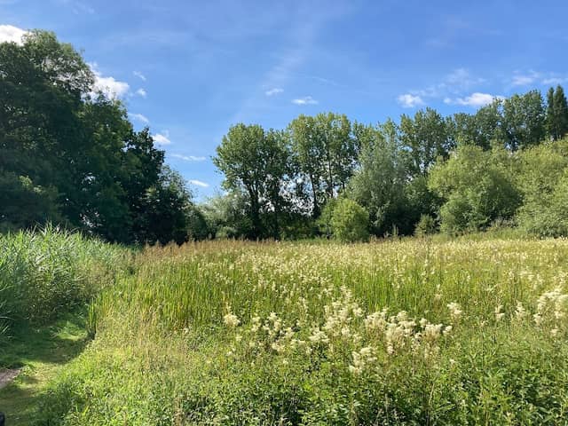 Cremer's Meadow - Image 2