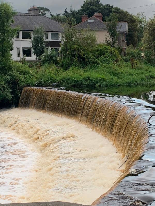 The Dodder walk - Image 2