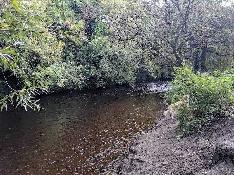 The Dodder walk - Image 1