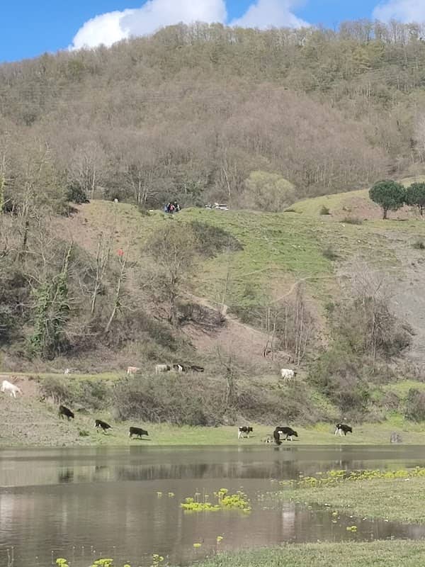 Can Kamp Alanı - Image 1