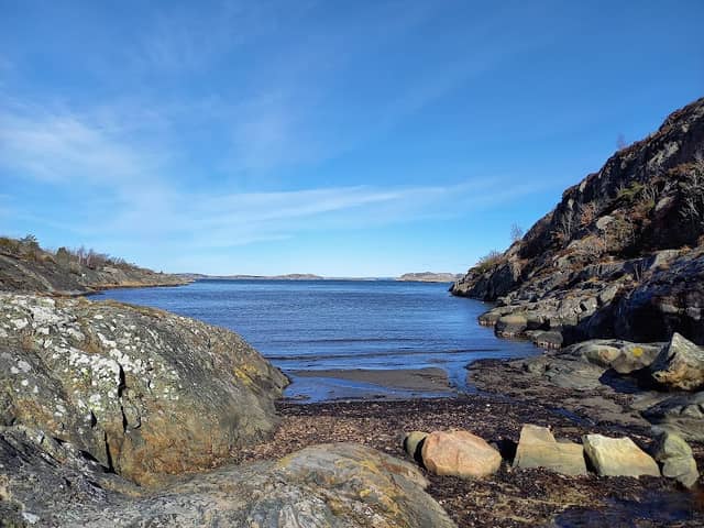 Blue Trail - Image 1