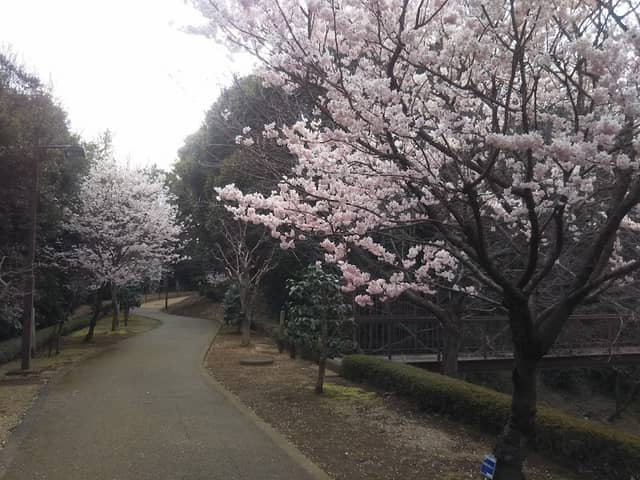 Shiroyama Park - Image 2
