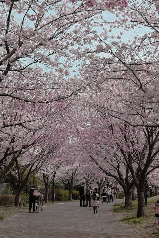 Ukita Park - Image 3