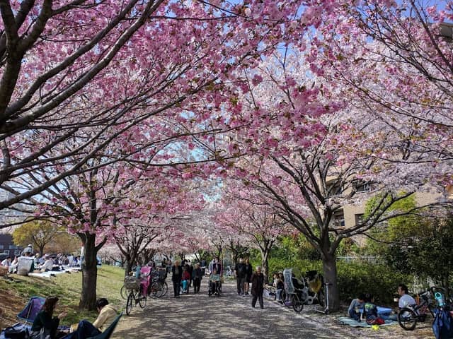 Ukita Park - Image 1