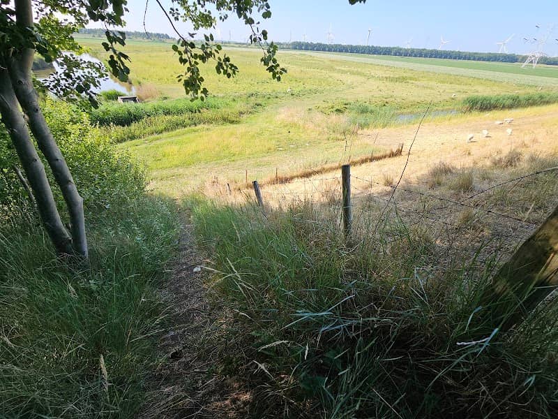 Locatie oeverzone van het Markizaatmeer - Image 1