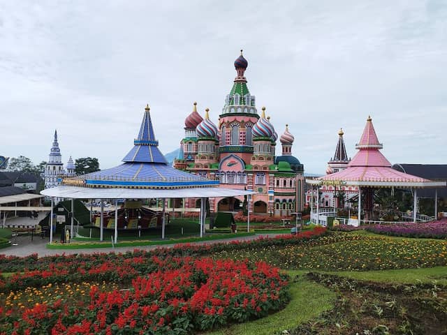 Bianglala Celosia - Image 1