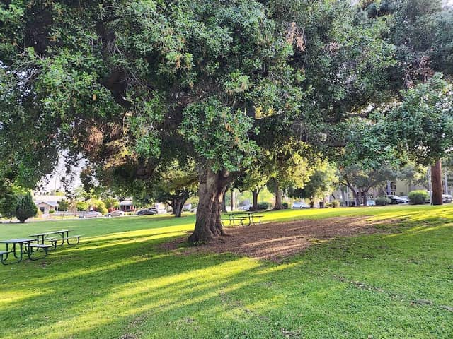 Garfield Park - Image 2