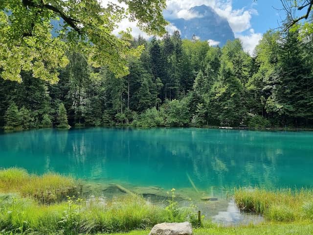 Naturpark Blausee - Image 1