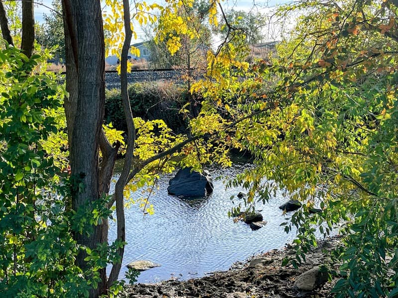 Fishing/ Disc Golf - Image 1