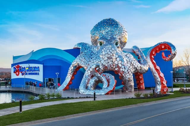 Aquarium at the Boardwalk - Image 2