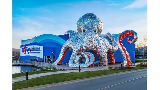 Aquarium at the Boardwalk - Image 1