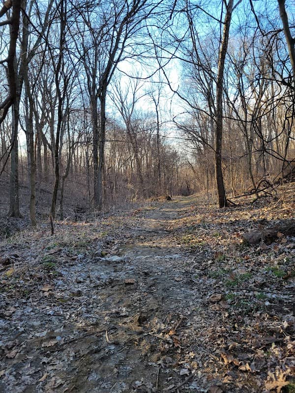 Bohm Woods Nature Preserve - Image 2