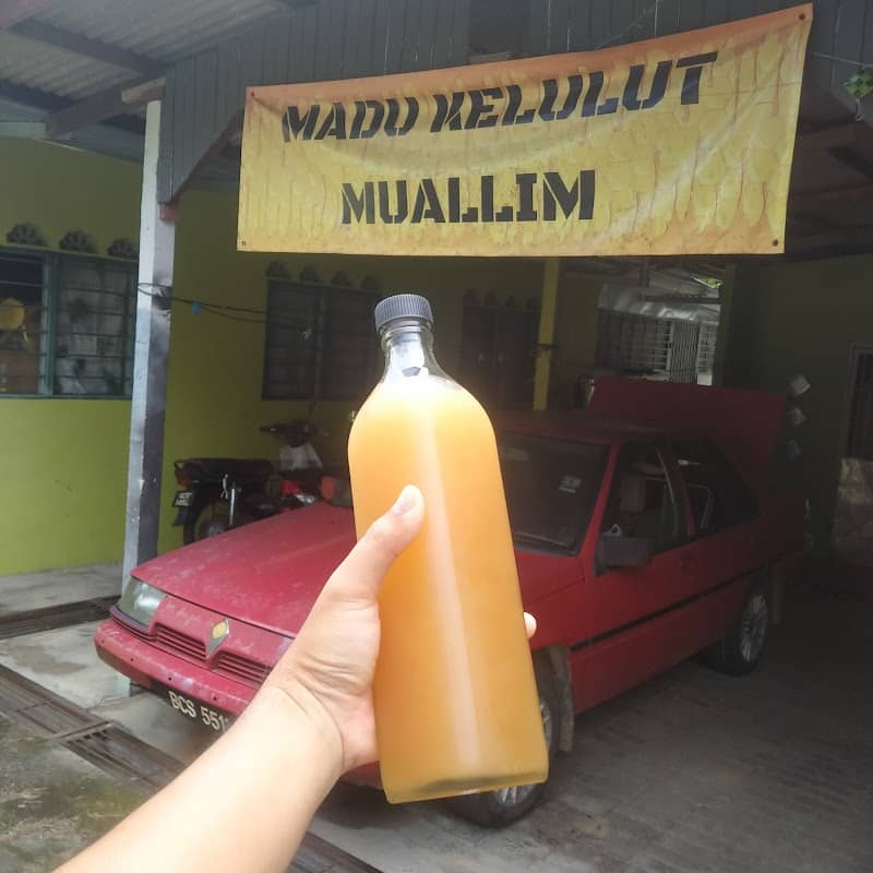 MADU KELULUT MUALLIM - Image 1