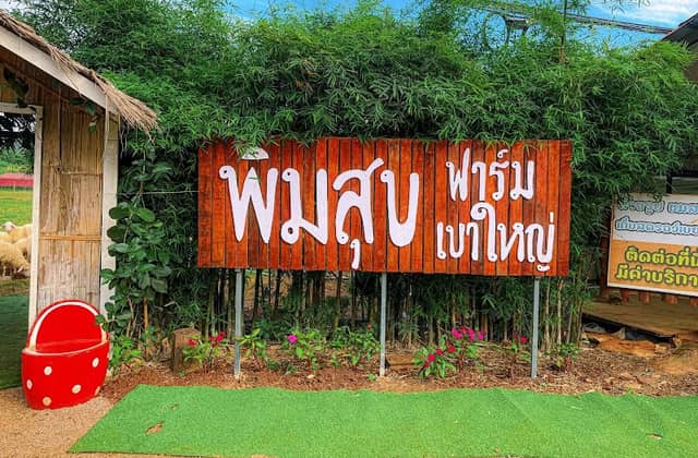 Khao Yai Flower Park - Image 1