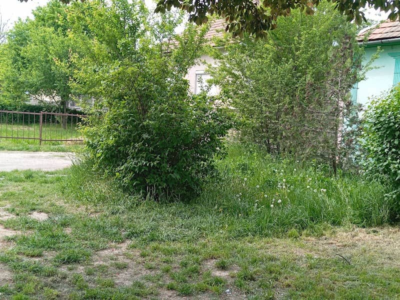 Beregszász Buszmegálló - Image 1