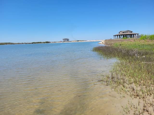 Port Aransas Nature Preserve at Charlie's Pasture - Image 1